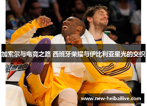 加索尔与电竞之路 西班牙荣耀与伊比利亚星光的交织