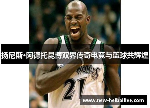 扬尼斯·阿德托昆博双界传奇电竞与篮球共辉煌