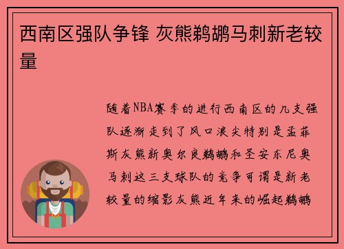 西南区强队争锋 灰熊鹈鹕马刺新老较量