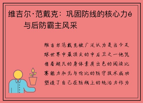 维吉尔·范戴克：巩固防线的核心力量与后防霸主风采