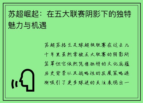 苏超崛起：在五大联赛阴影下的独特魅力与机遇
